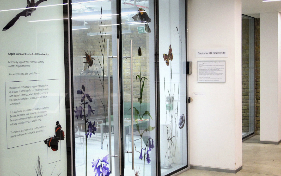 A entrada para o Centro Angela Marmont, no Museu de História Natural de Londres