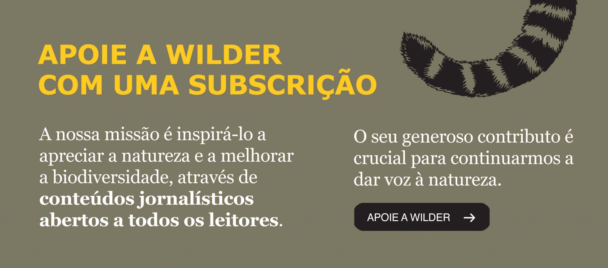 O Que Procurar No Outono A Brama Dos Veados Wilder