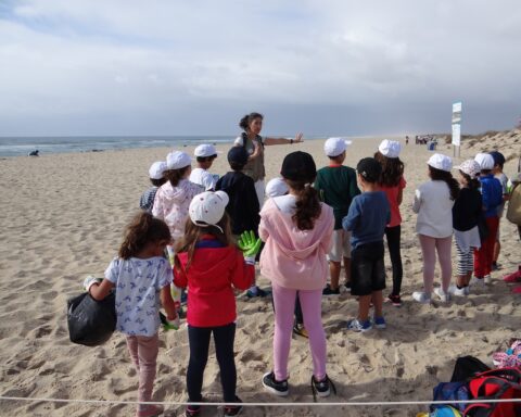 alunos e professora numa praia