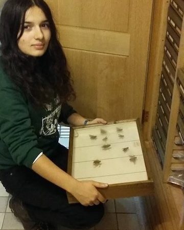 Ana Gonçalves com uma caixa com insectos