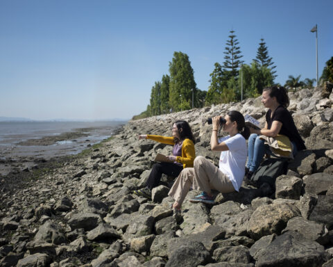 Inês Sequeira, Helena Geraldes e Joana Bourgard sentadas à margem do Tejo a observarem a Natureza