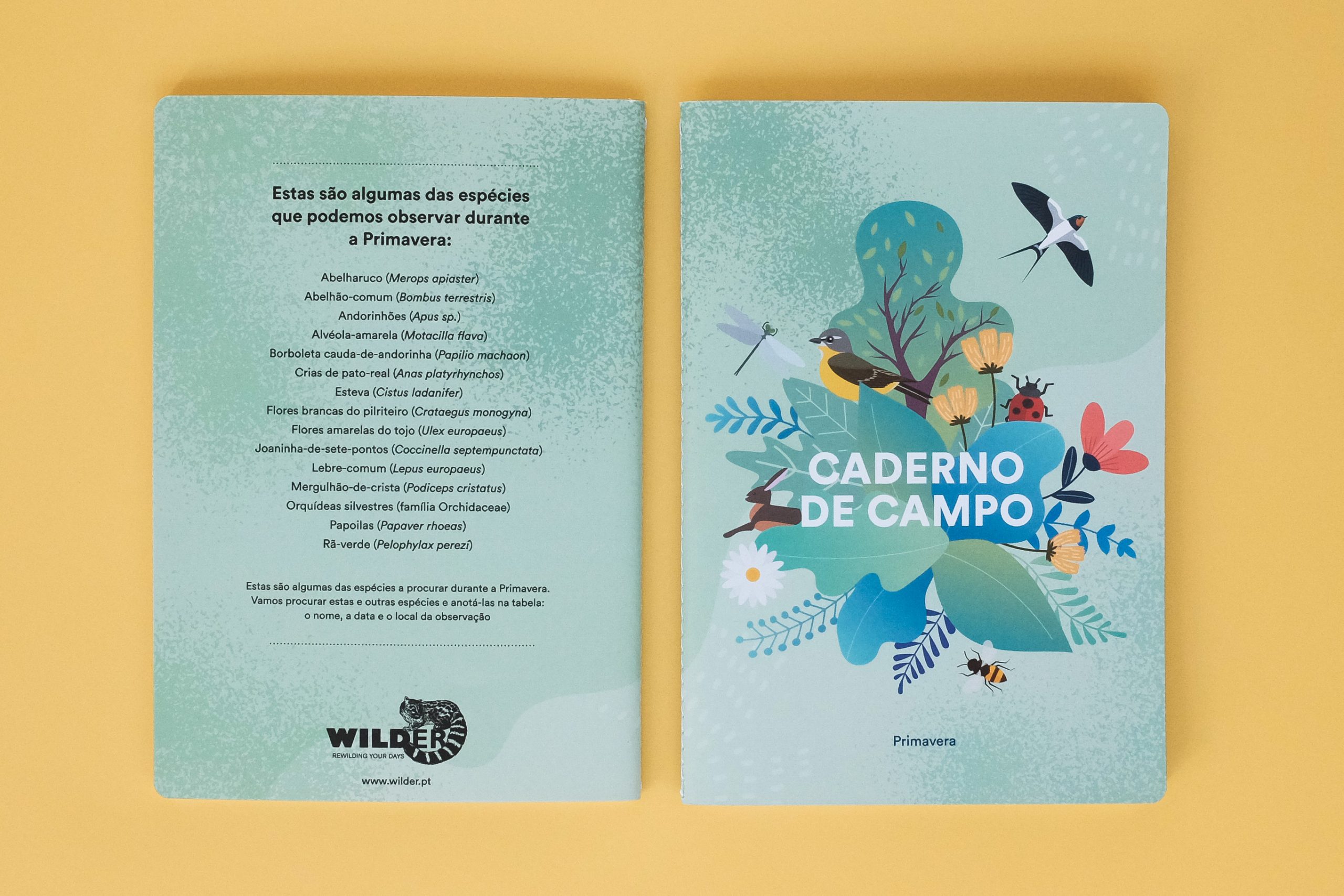 Caderno de campo de Primavera para a iniciativa “Que Espécie é Esta?” Na Escola