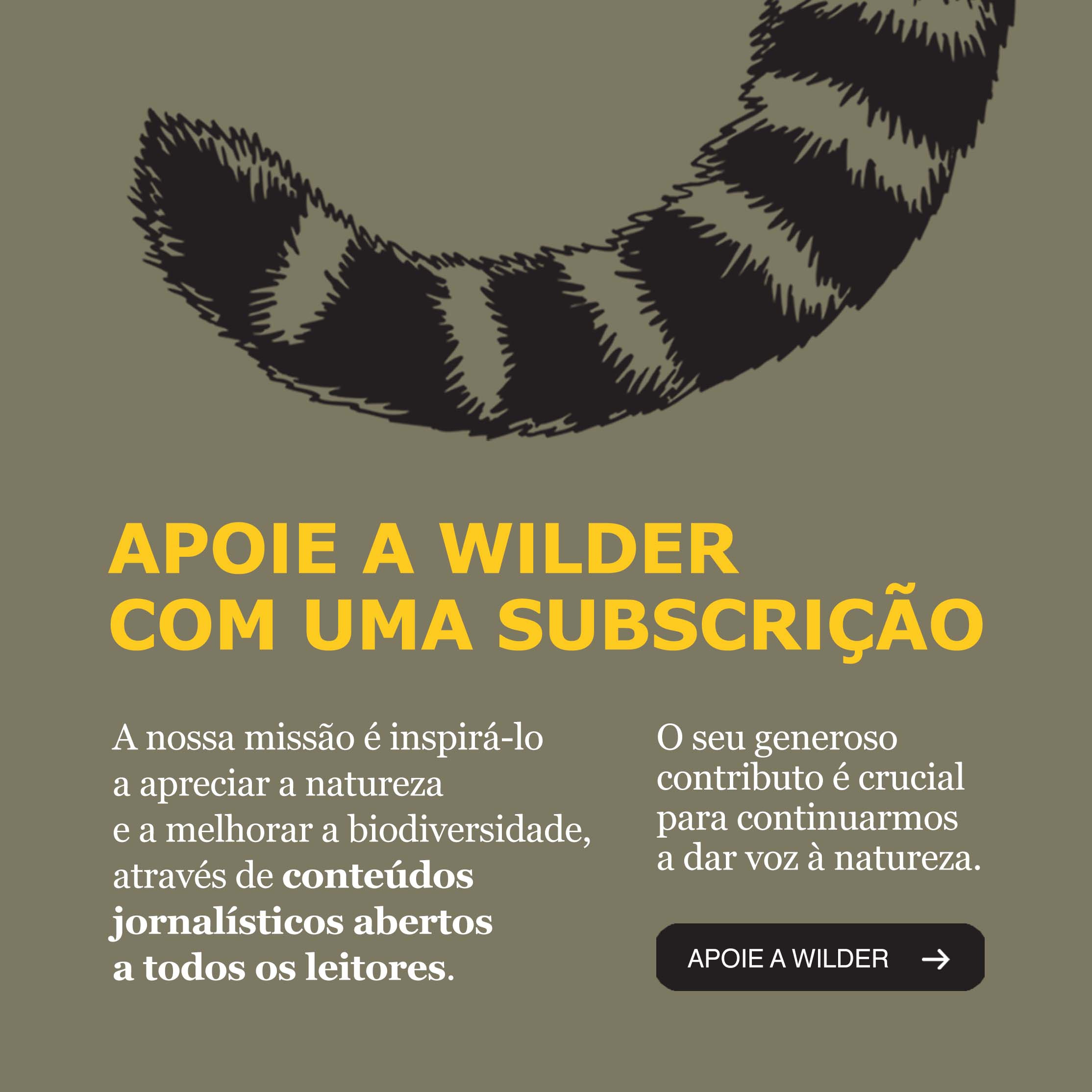 Banner apoie a Wilder